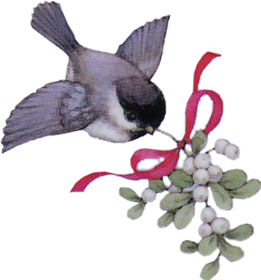 Oiseaux Noel - Gui L An Neuf (390x417), Png Download