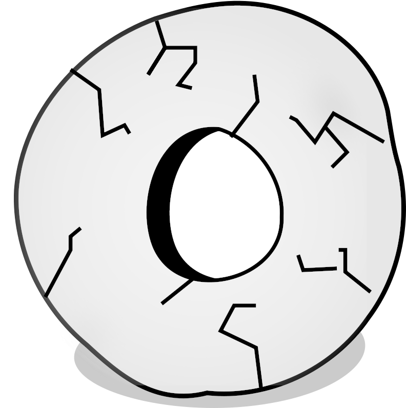 Wheel Clip Art Download - Interview Questions And Answers 12th Pass (800x800), Png Download
