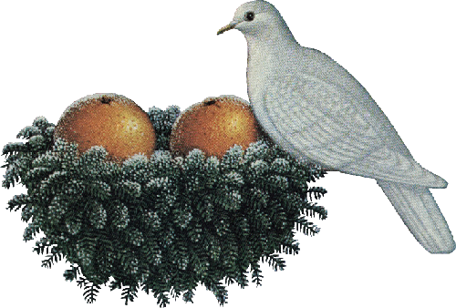 Oiseaux Noel - Christmas Day (500x338), Png Download