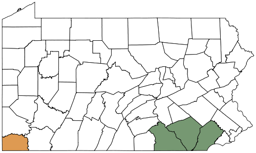May Be Confused With - Map Of Pennsylvania (500x300), Png Download