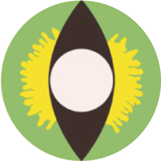 Home - Bach Optic Grüne Kontaktlinsen (600x600), Png Download