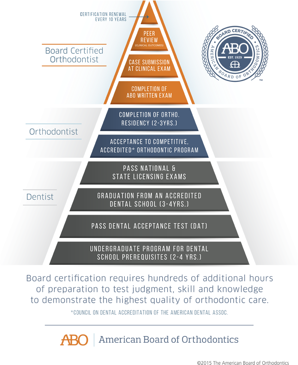 If The Applicant Successfully Passes These Stages, - Orthodontist Certification (1000x1297), Png Download
