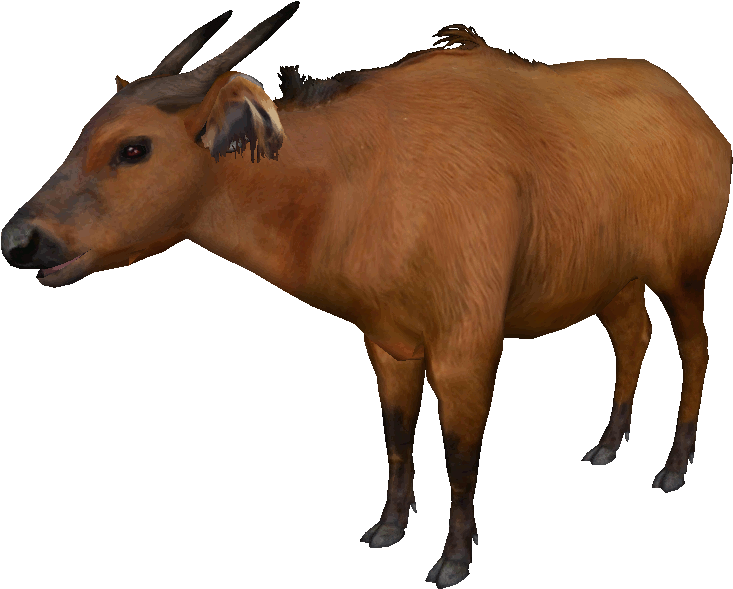 Congo Buffalo - Zoo Tycoon 2 (732x732), Png Download