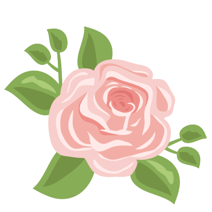 Cabbage Rose Svg Scrapbook Cut File Cute Clipart Files - Garden Roses (432x432), Png Download