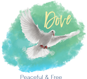 Dove - Stock Dove (369x334), Png Download