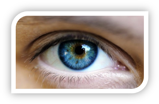Http - //www - Rozsavage - Com/wp-content/uploads/ - Blue Eyes With Golden Flecks (530x351), Png Download