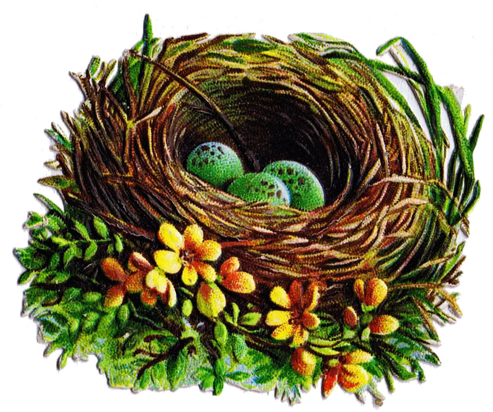 Bird Nest And Egg Graphics 5 Antique Die Cut Images - Wreath (1010x844), Png Download