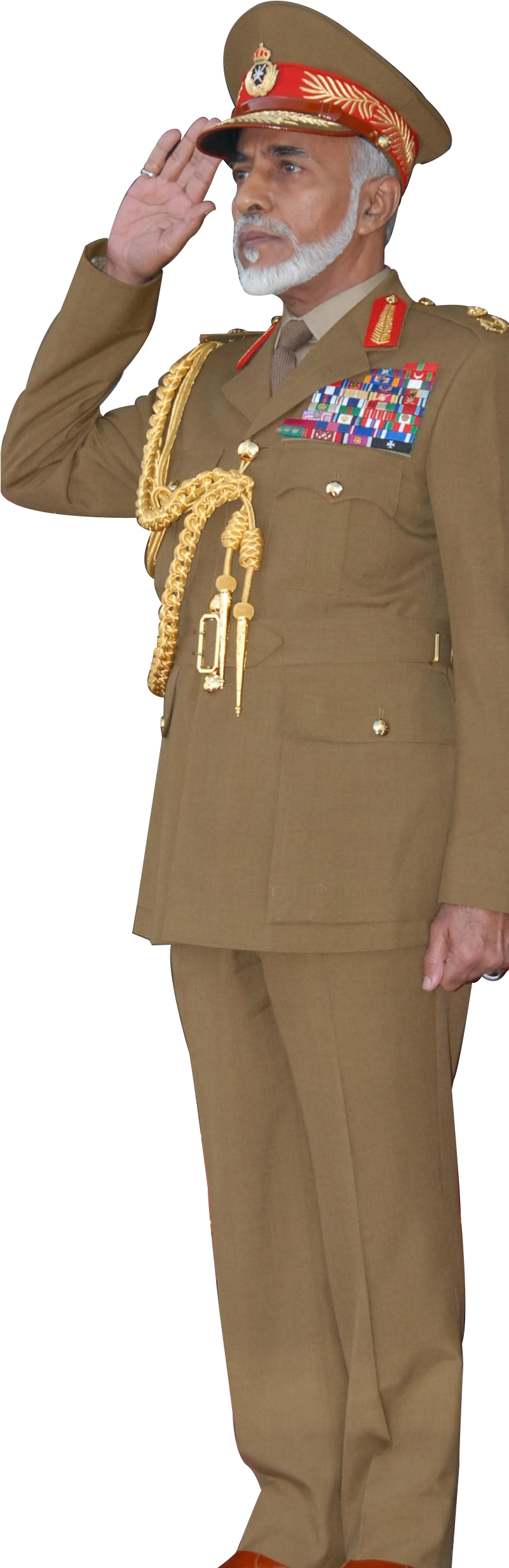 Hm29 - Qaboos Bin Said Al Said (863x2554), Png Download