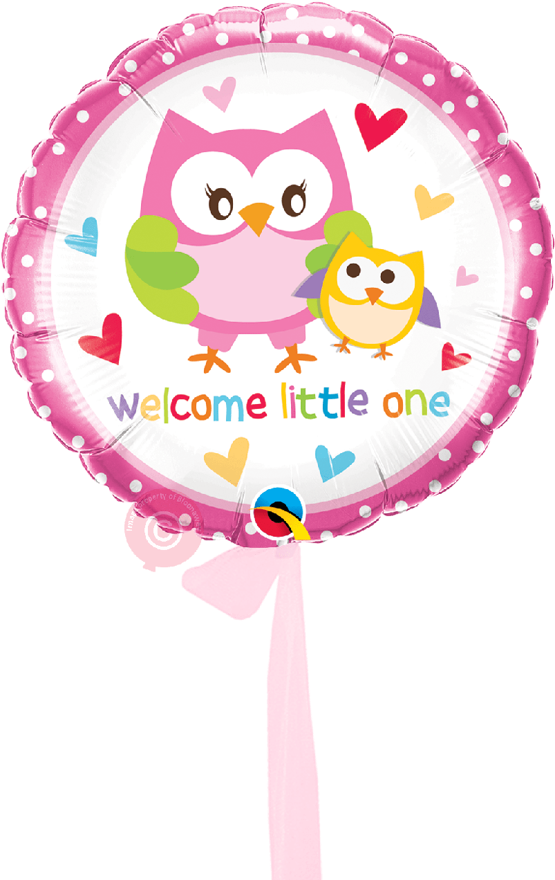 Welcome Little One Owls-single Balloon - 18" Welcome Little One Owls Foil Balloon (1017x1297), Png Download