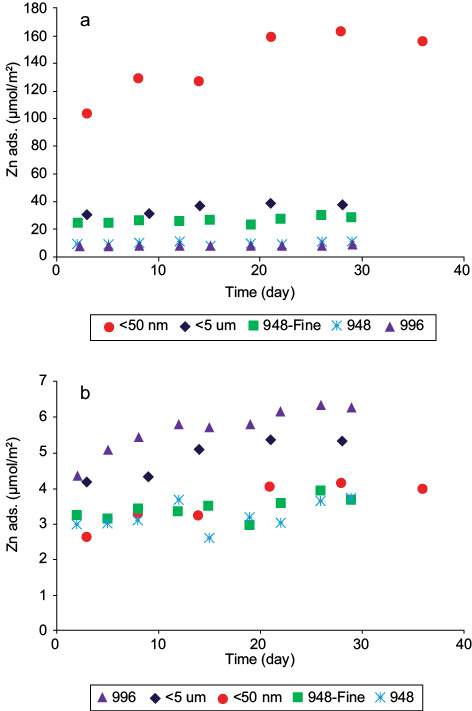 Adsorption Of Zn Vs - Corrosion (472x711), Png Download