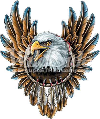 Bald Eagle - Dreamcatcher - Eagle Dream Catcher Tattoos (416x493), Png Download