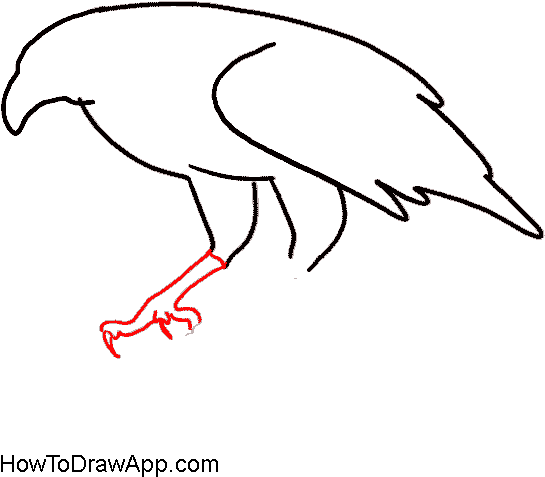How To Draw An Eagle Sitting On A Tree - Eagle Bird Easy Drawing (600x600), Png Download