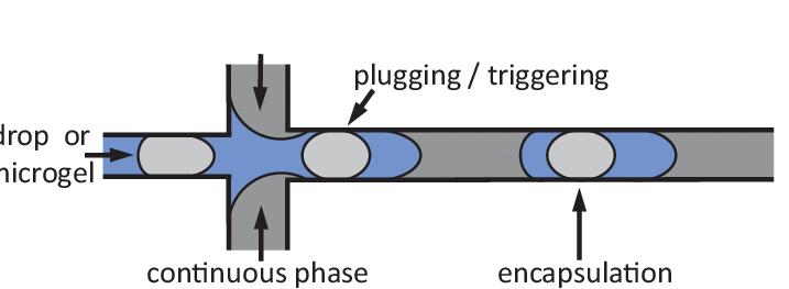 Schematic Of Triggered Drop Formation Device - International Genomics Consortium (717x263), Png Download