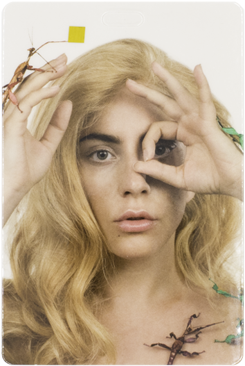 Lady Gaga Clear Pocket White Hoodie - Lady Gaga Bugs (1000x1000), Png Download