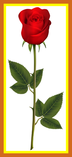 Marvelous Red Rose With Stem Png Transparent Clip Art - Rose Stem With Bud (298x650), Png Download