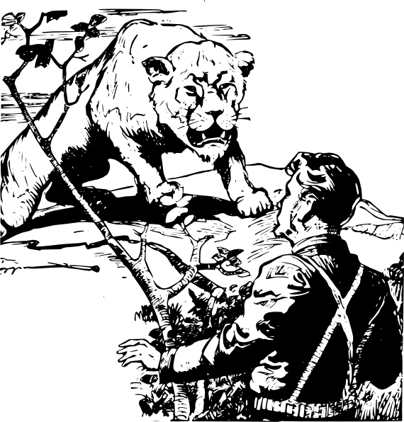 Lion Png - Lion (570x596), Png Download