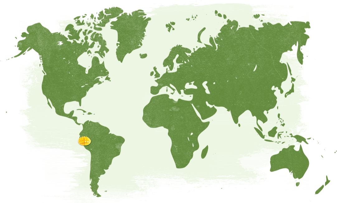 Map Pesticide Free Mangoes Usa Naturetouch - World Map (1106x650), Png Download