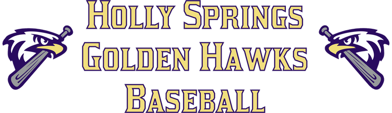 Golden Hawks Baseball - Air Force Falcons Baseball Team (775x224), Png Download