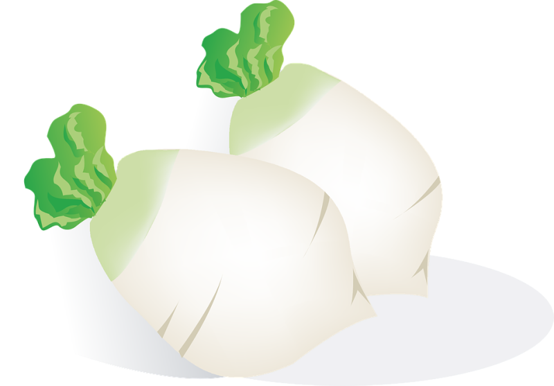 Pin Eat Healthy Food Clipart - รูป หัว ไช เท้า การ์ตูน (800x557), Png Download