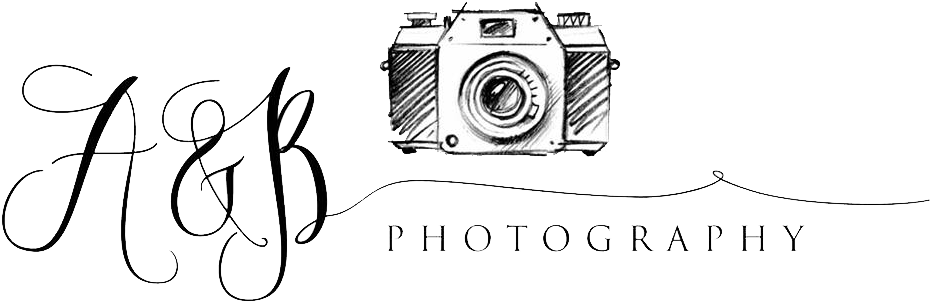 A & B Photography - Photographer (960x429), Png Download