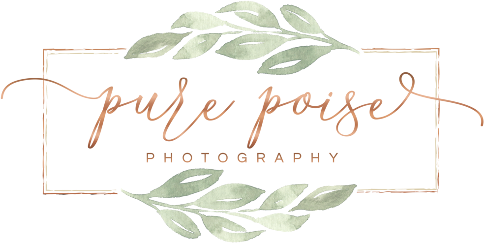 Pure Poise Large (1000x569), Png Download