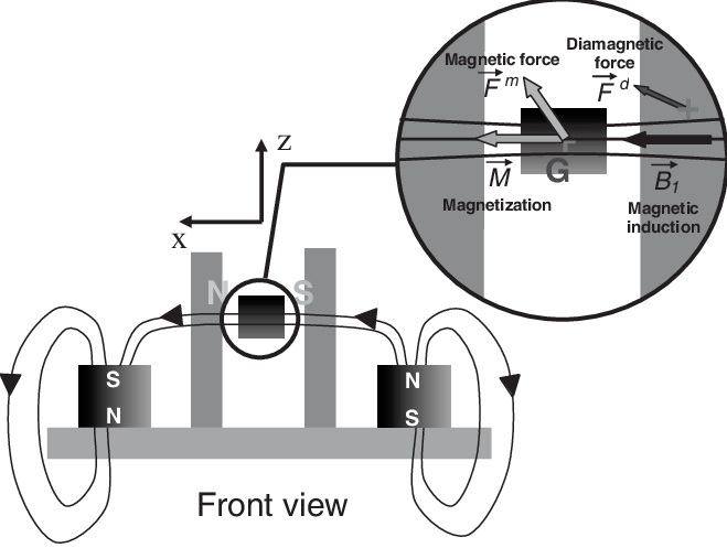 Magnetic Polarity Arrangement And Forces Scheme Interaction - Diagram (659x497), Png Download