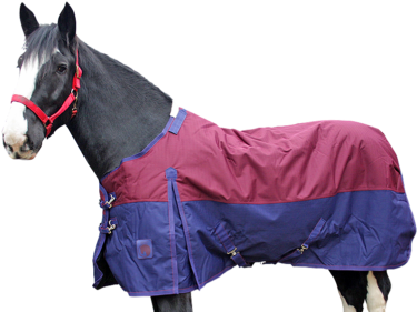 Voter Turnout (460x286), Png Download