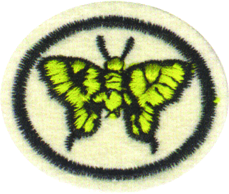 Moths And Butterflies Honor (471x392), Png Download