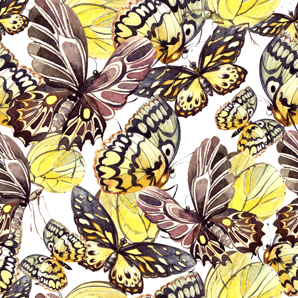 Hand Painted Brown Butterfly Specimen Background Png - Illustration (1024x1024), Png Download