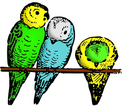 Animal Bird Budgie Lutz Parakeet Bird Bird - Parakeets Clipart (390x340), Png Download