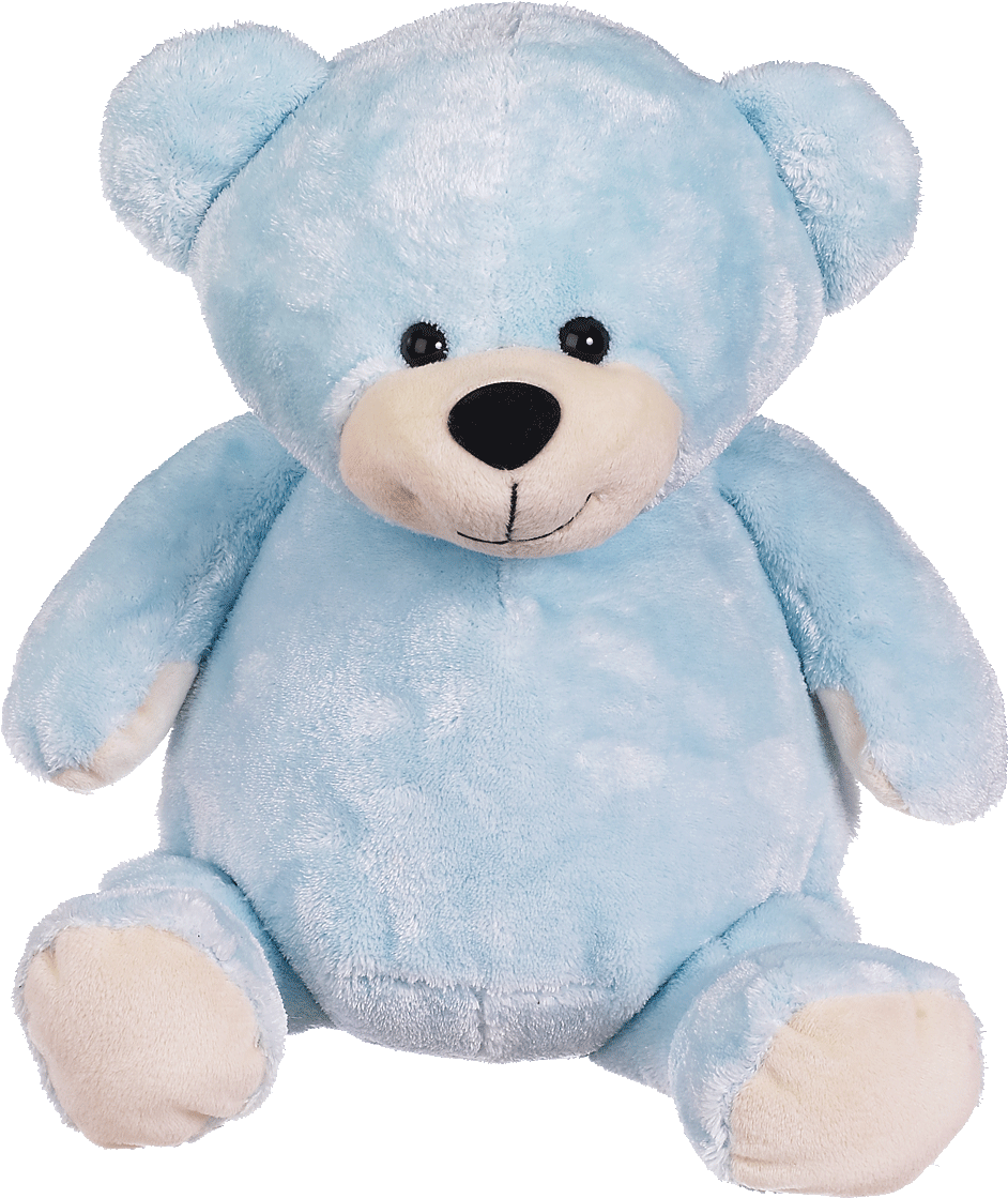 Eb 002 Embroidered Blue Teddy Bear - Embroidery Buddy Stuffed Animal - Mister Buddy Bear (1200x1200), Png Download