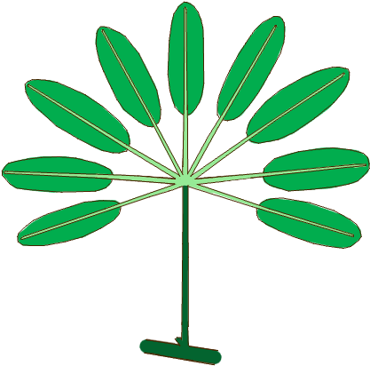 Leaf Morphology Type Palmately-compound - Animated Spinner (470x450), Png Download