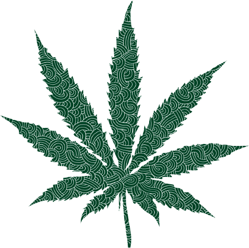 Marijuana Leaf (500x507), Png Download