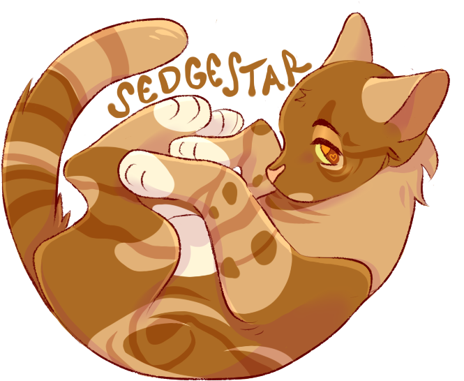 Cat Yawns (801x690), Png Download