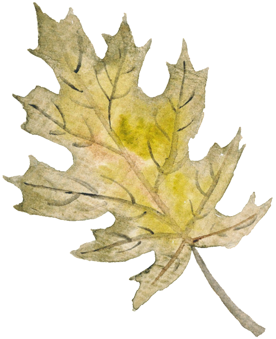 Autumn Leaf Decoration Png - Leaf (1024x1024), Png Download