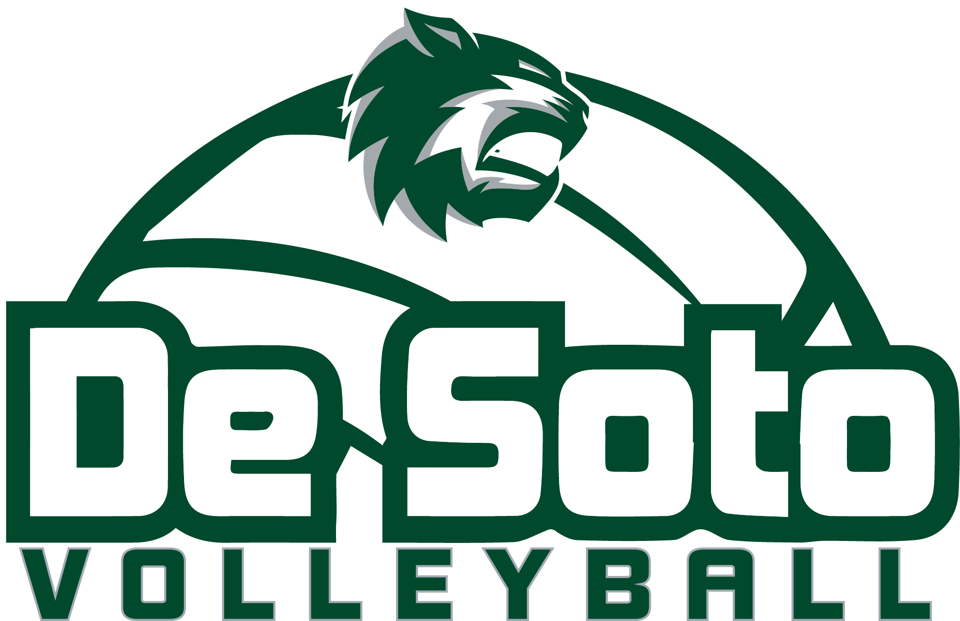 Varsity Volleyball - Desoto Wildcats (1923x1333), Png Download