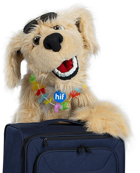 Important Information Regarding Weather In New Zealand - Companion Dog (560x560), Png Download