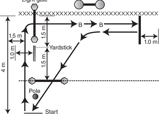 1 Illustration Of The Repeated-effort Test For Volleyball - Repeated Effort Test Volleyball (651x466), Png Download