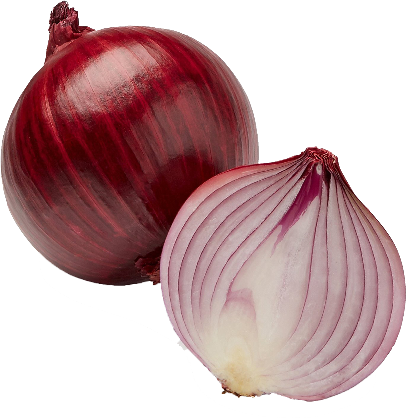 Onion Transparent File - Onion (1406x1500), Png Download
