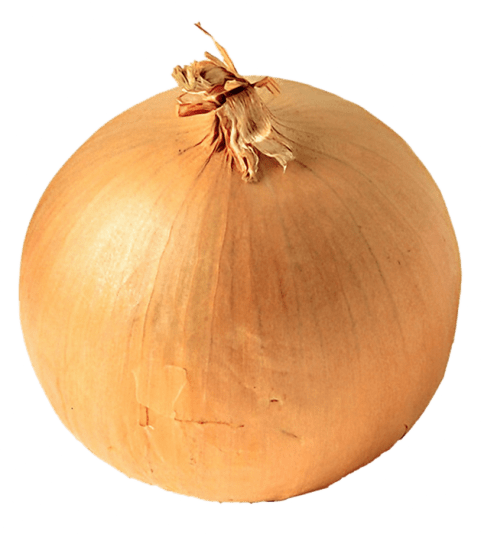 Free Png Onion Png Images Transparent - Onion Png (481x534), Png Download