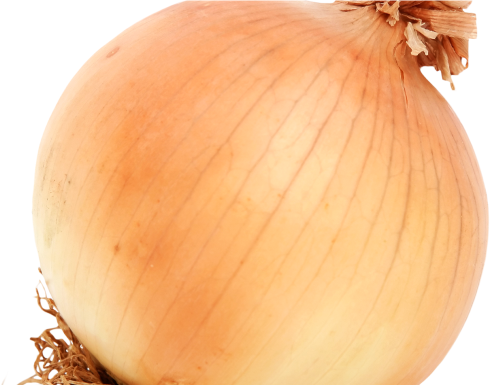 Brown Onion Png Image - Onion Png (1024x768), Png Download