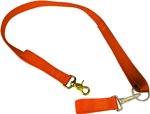 Dog Belt Png (600x450), Png Download