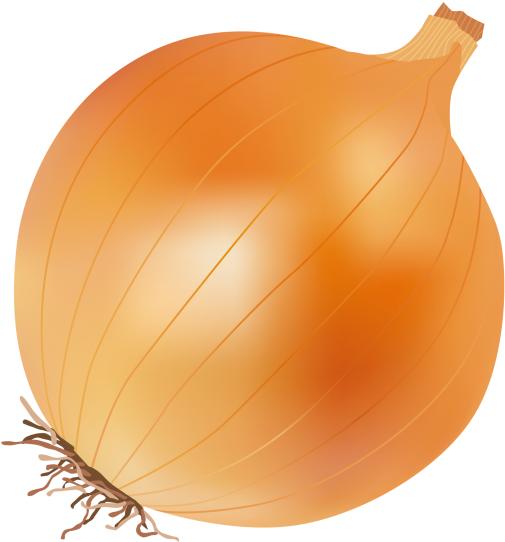 Onion - Yellow Onion (866x650), Png Download