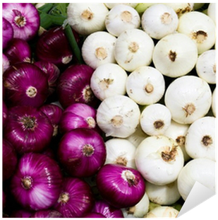 Free White Onion Png - White Onion (400x400), Png Download