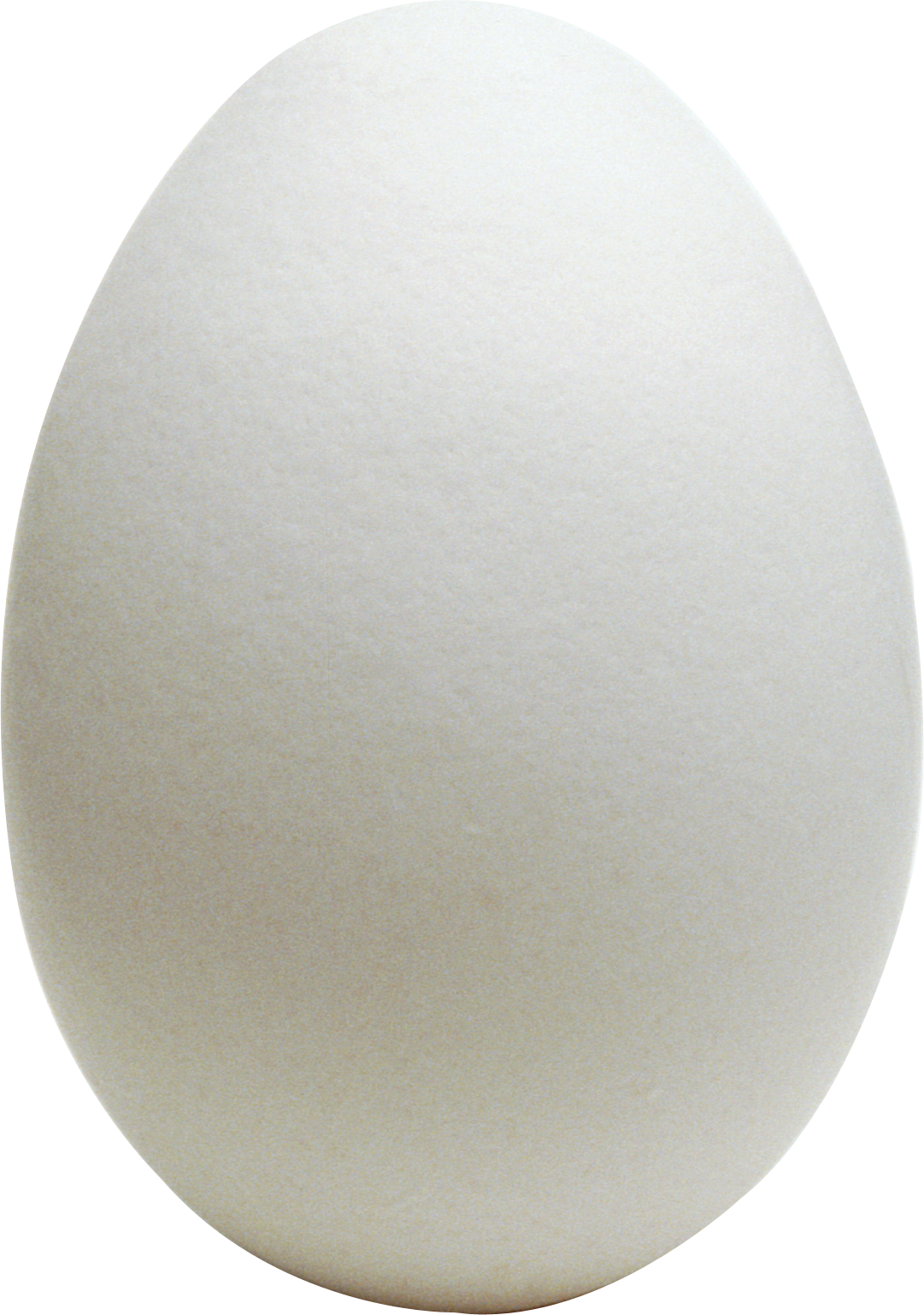Download - Egg Picture Png (1081x1538), Png Download