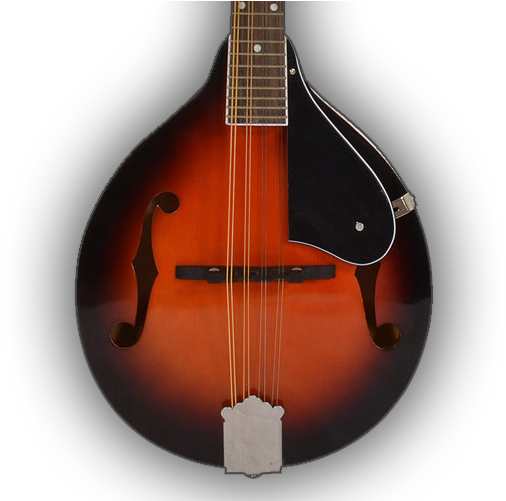 Mandolin - Mandolin A Style- Gig Bag And Stand (538x500), Png Download