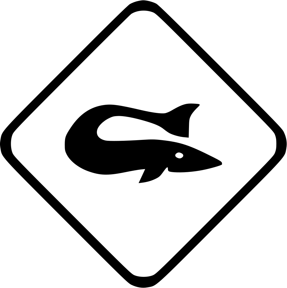 Fish Beluga Sea Ocean Comments - Fish (981x982), Png Download
