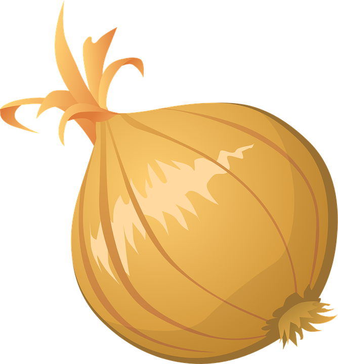 Download Onion Vector Clipart Hq Png Image - Onion Clipart Png (668x720), Png Download