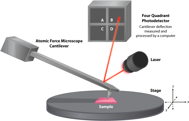 Atomic Force Microscope Mechanism - Microscope (850x550), Png Download