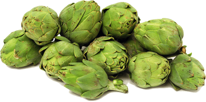 Free Png Artichokes Png File Png Images Transparent - Artichoke Png (850x421), Png Download